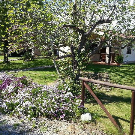 Вилла Agriturismo Sicomoro Капальбио Экстерьер фото